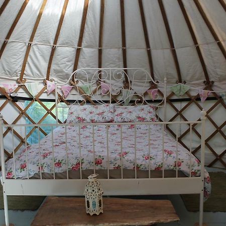 Talbenny Mill Haven Place Glamping-Yurt 1 מראה חיצוני תמונה