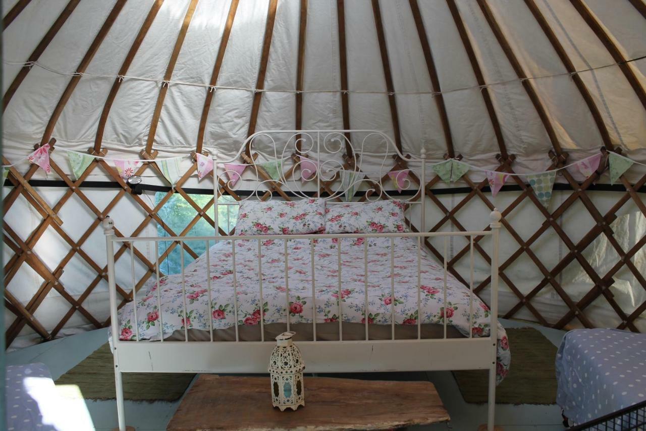 Talbenny Mill Haven Place Glamping-Yurt 1 מראה חיצוני תמונה