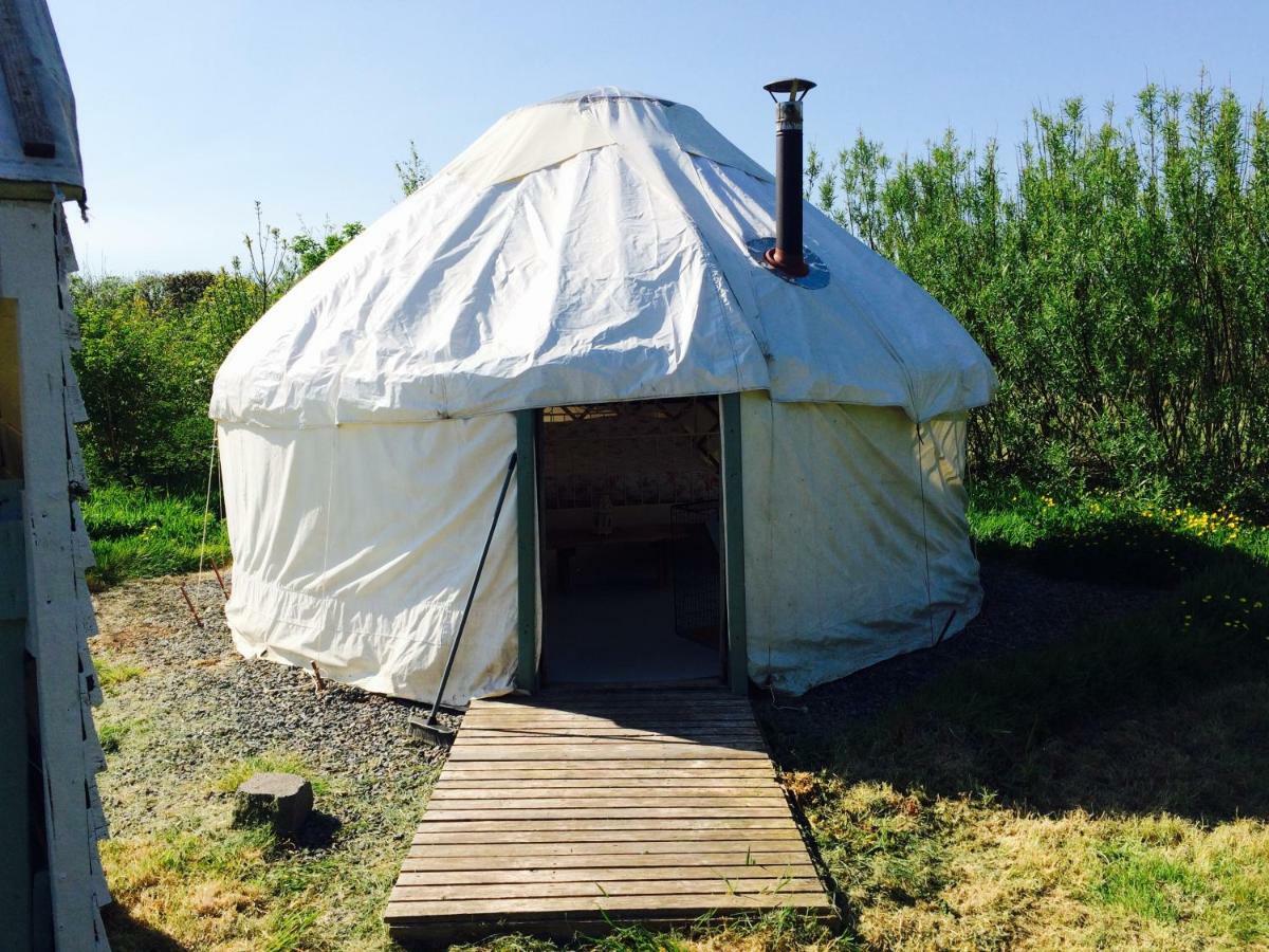 Talbenny Mill Haven Place Glamping-Yurt 1 מראה חיצוני תמונה